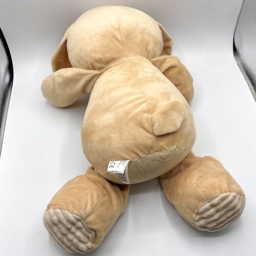 Kellytoy Beige Cachorro Perro Peluche Bebé Sonajero Acanalado Vientre Marrón 2017 Grande 18 pulgadas - Imagen 4 de 8