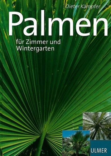 Dieter Kämpfer: Palmen: Für Zimmer und Wintergarten