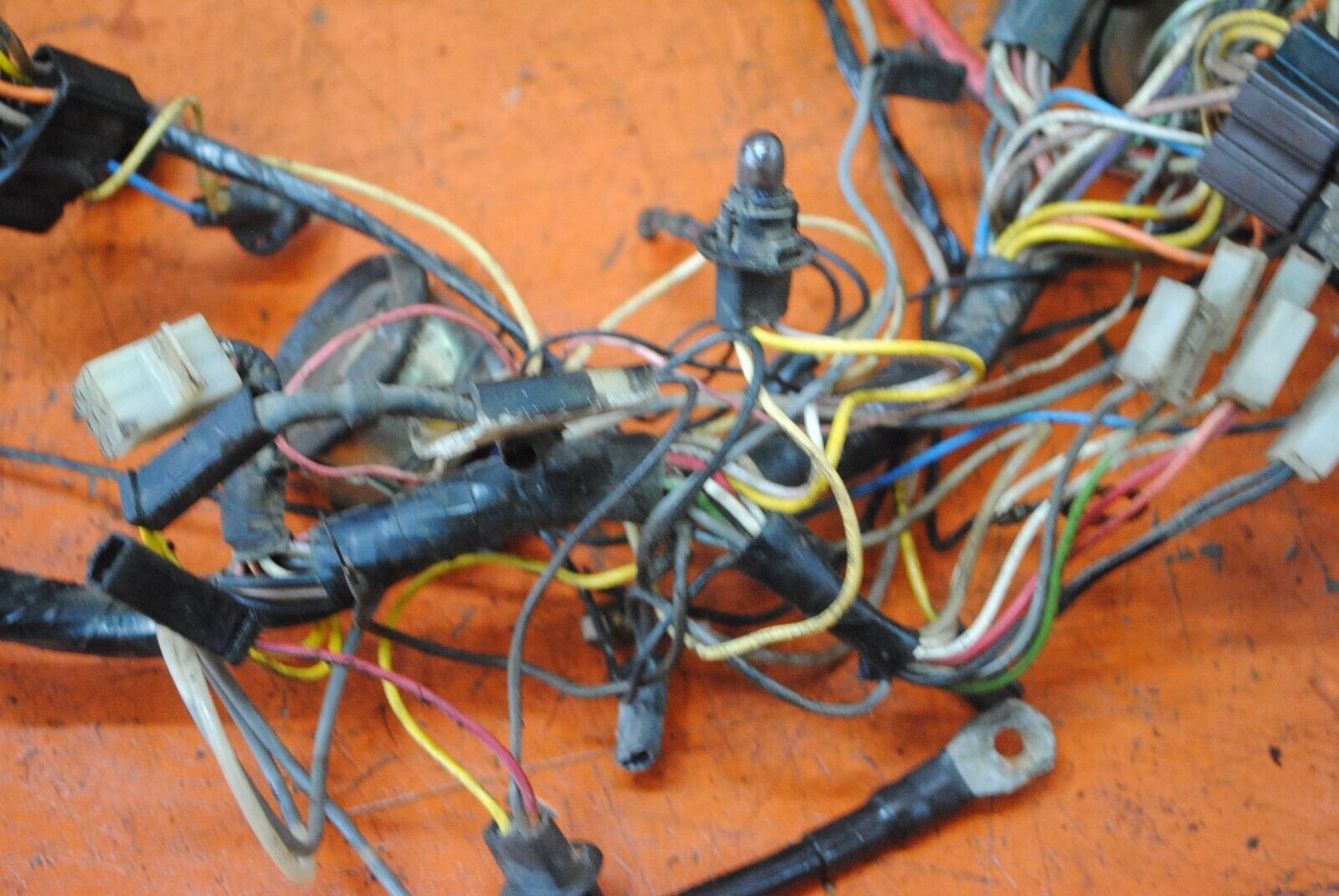 Imagen 3 de 7
