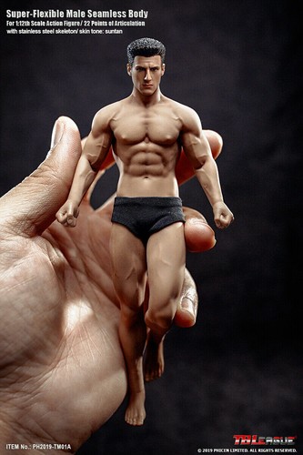 TBLeague 1/12 TM01A Suntan Seamless Muscular Body 6inches Figure W/Head Model - Picture 4 of 8