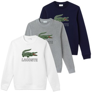 lacoste crew