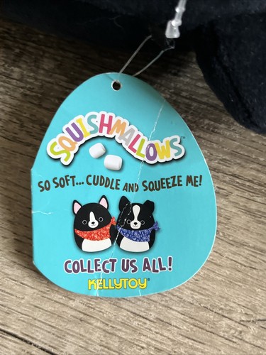 Squishmallow Lot Of 2 8" Tommy & Teddy Border Collie Bandana Plush Toy Kellytoy - Picture 3 of 10