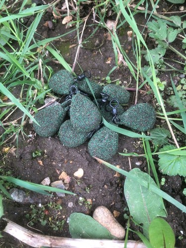 20 x 1oz flat pear lead weights, textured weedy green, big eyed swivel