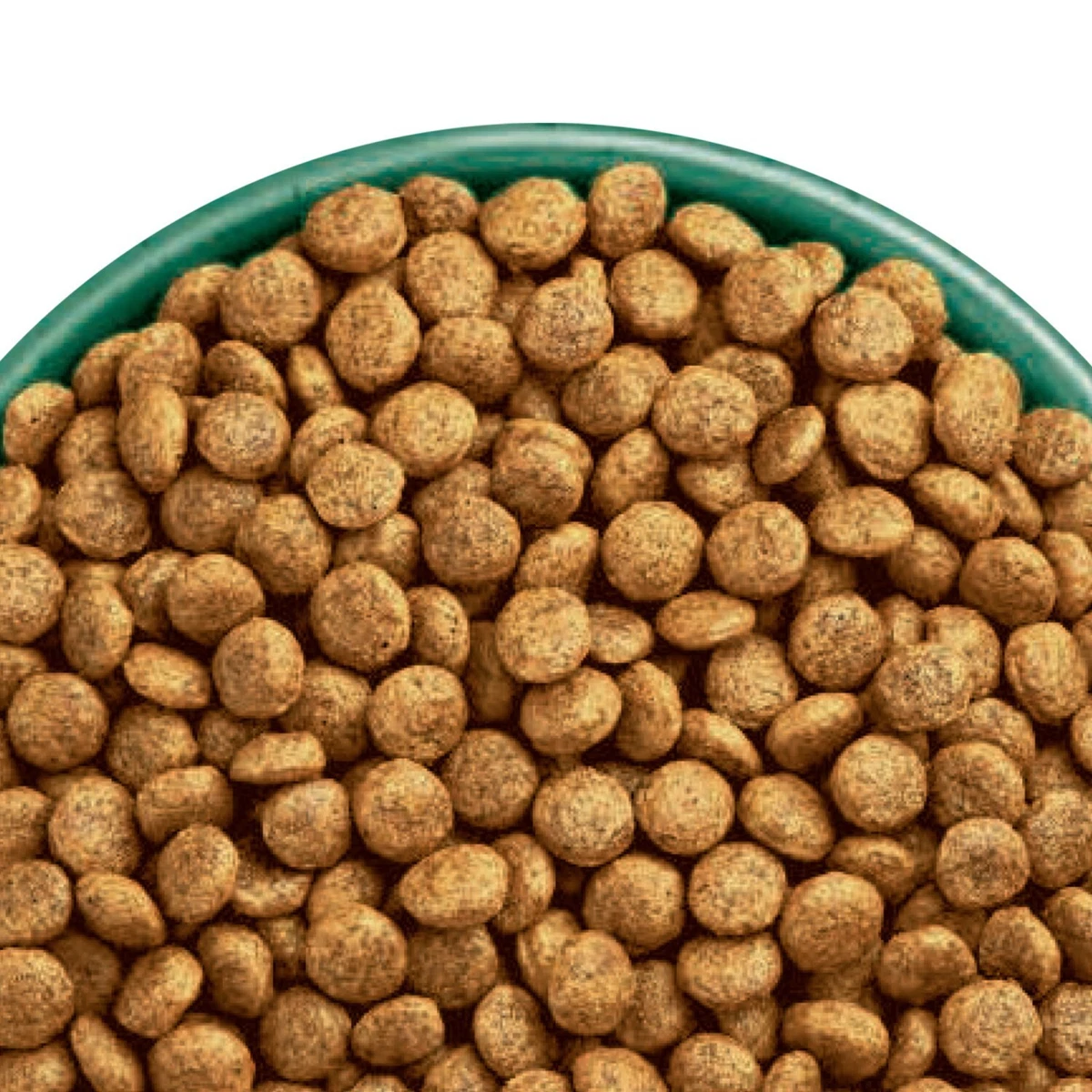 Dog food james wellbeloved cheap puppy