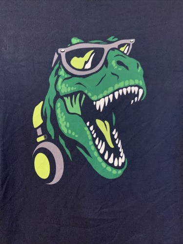 Saint Eve Pajama Set Boys Size 12 Dinosaurs Long Sleeve Lightweight Green Gray - Picture 3 of 8