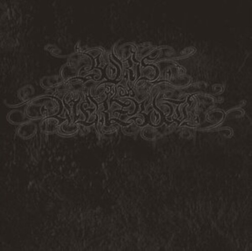 Boris With Merzbow - 4092001 (Silver Vinyl) - New (Vinyl) LP Sealed - Picture 1 of 1