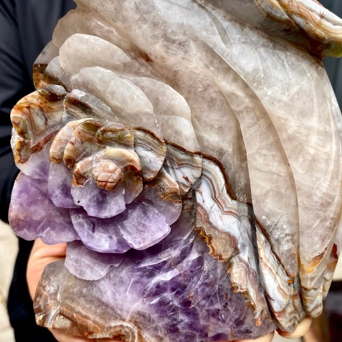 3.3LB Natural amethyst lace agate quartz crystal hand carved phoenix spiritual - 第 8/12 張圖片