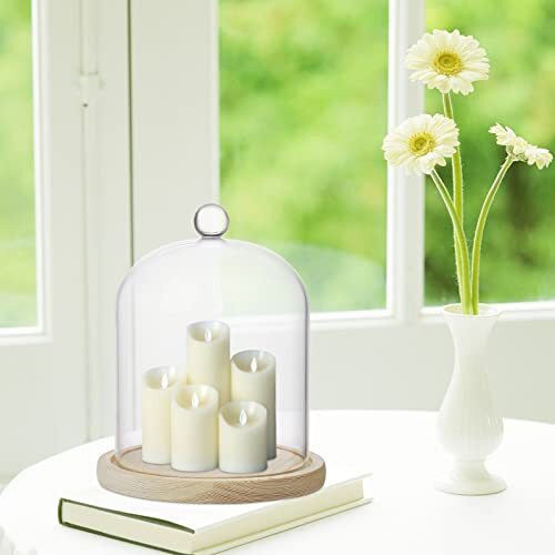 Clear Glass Display Dome Cloche Bell Terrarium Jar for Plants Collectible - Picture 6 of 8