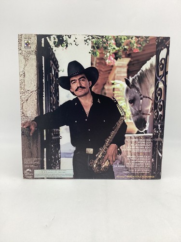 JOAN SEBASTIAN con Tambora (91’ MUSART MEXICO LP) EX/EX+ rare! - Imagen 3 de 10