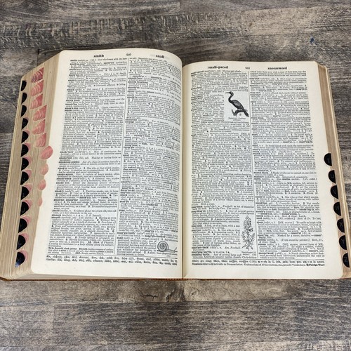 Webster's Collegiate Dictionary Fifth Edition 1945 Thin Paper Leather Bound - Imagen 11 de 13