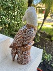 Anthropologie Avian Vase Lovebird Bird Floral Brown