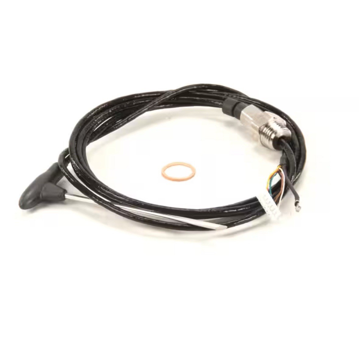 Rational OEM Meat Probe Sensor 40.00.606P Brand New