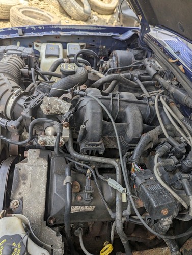 2001-2003 FORD RANGER VIN E 4.0 ENGINE 102,000 MILES *FREE SHIPPING* COMPLETE - Picture 15 of 24
