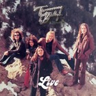 Tommy Bolin 12" Record Vinyl Records