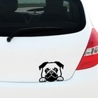 Peeking PUG Vinyl Decal Sticker Car Window Bumper Pet Dog Puppy Rescue Laptop