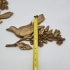 Picture 9 of 9