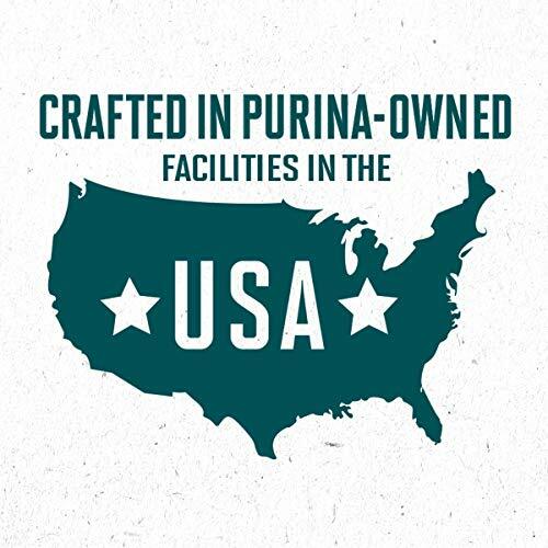 Purina ONE Natural Large Breed Dry Puppy Food, SmartBlend Large Breed Puppy - Picture 2 of 10