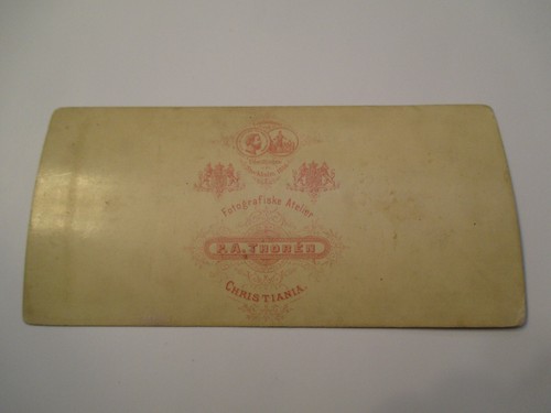 Partie of honefos Ringerige Christiania ? Norway ? Stereoview Card - Picture 3 of 3