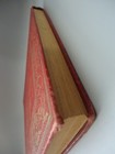 Bild 9 von 20