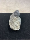 Picture 4 of 21