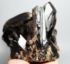 Foto 10 di 11