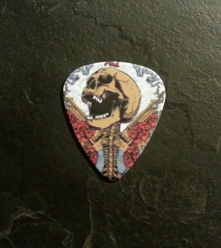 Skull Skeleton Ghost Monster Zombie Vampire Guitar Pick Music Gift Present  - Picture 1 of 2