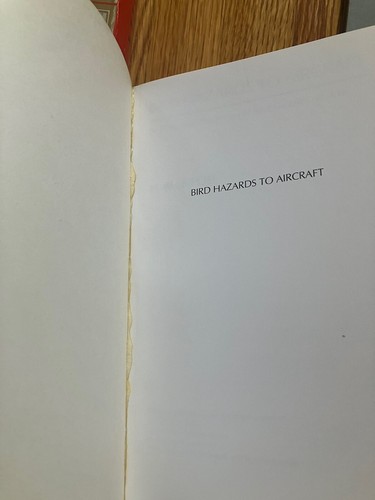 Lore of Flight Pilots Guide Aviation British Standard Aeronautical Lot Pls Read - Foto 7 di 10