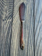 Vintage Oneida Community Tudor Plate Butter Spreader Knife With Floral Handle De