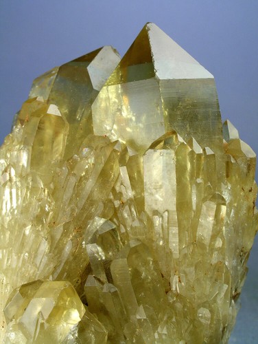 GEMMY NATURAL CITRINE QUARTZ CRYSTALS LIGHTBRARY, LWENA, CONGO, GLOBE MINERALS - Picture 4 of 5
