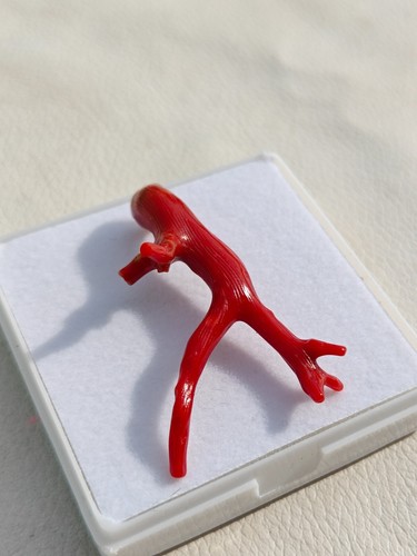 Bonsai Ramo Corallo Rosso Italiano Ramo per Fare Collana Stelle!IVF - Foto 4 di 8