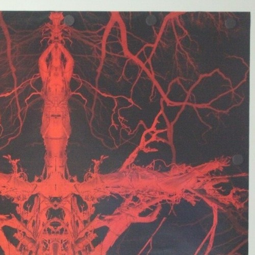 Blair Witch The Woods 2016 Double Sided Original Movie Poster 27" x 40" - Picture 3 of 6