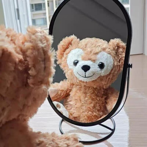 Cooler authentischer Disney Park Duffy Bär 17 Zoll Plüsch mit Etikett Disneyland exklusiv - Bild 2 von 6