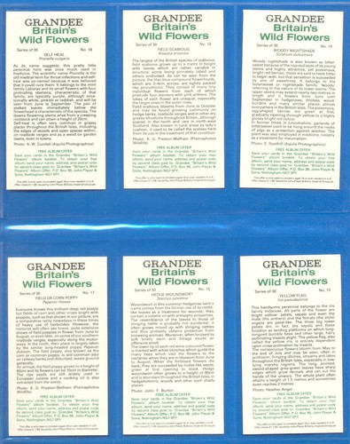 BRITAINS WILD FLOWERS.COMPLETE SET OF 30 CARDS ISSUED BY GRANDEE CIGARS IN 1986 - Picture 6 of 10