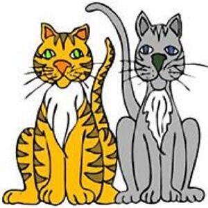 30 Custom Simple Cat Personalized Address Labels