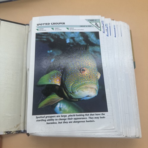 Wildlife Fact-File 4 Binders in Set All Groups 1-11 Homeschool Science Vintage - Foto 14 di 22