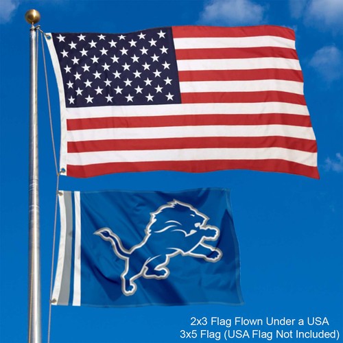 Detroit Lions Wordmark 2x3 Foot Grommet Flag - Picture 2 of 5