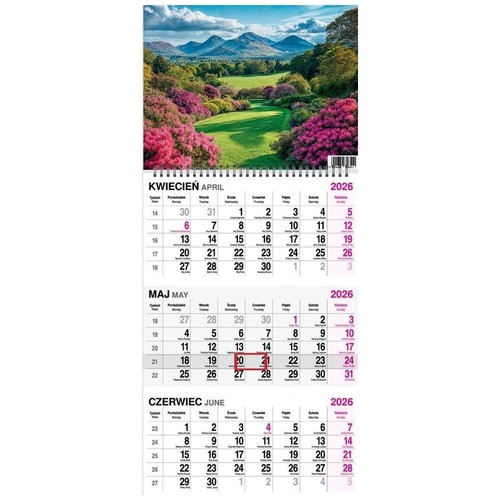 Polski Kalendarz Miesięczny Dzielny 2025 - Organizador Estilo Różne Na Każdy Dzień - Imagen 78 de 177