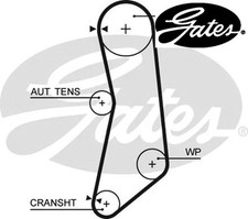 WATER PUMP & TIMING BELT KIT FITS: FITS FOR FIAT PANDA / PANDA CLASSIC 1.1 .F