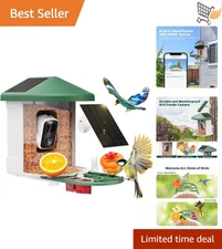 Bird Feeder with Camera Solar Power AI Identify Bird Species 2K Live