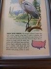 Picture 3 of 4