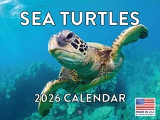 Sea Turtle Calendar 2026 Monthly Wall Calender 12 Month 12x18