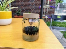 fly trap for mason jars 4 pack