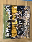 HoF Troy Polamalu Pittsburgh Steelers Signed Photo Global Authentics