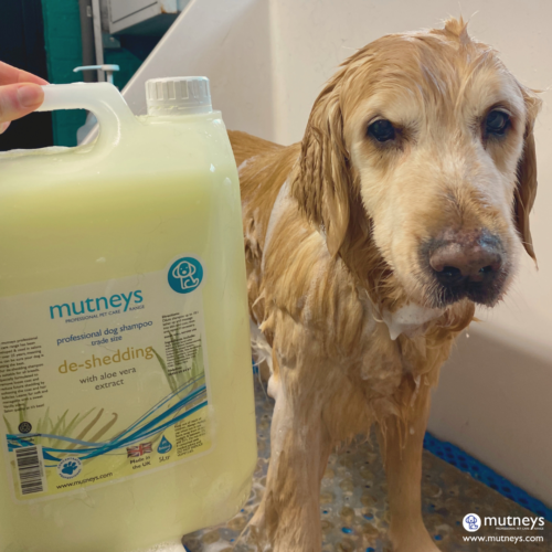 Mutneys De-Shedding Hundeshampoo | Für Häutung Rassen | 100ml, 500ml & 5ltr - Bild 9 von 12