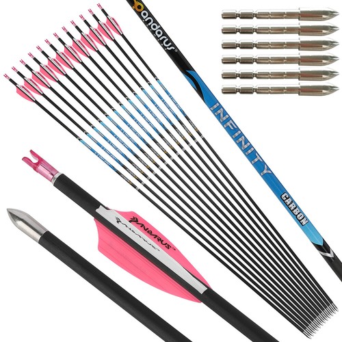 12X Pure Carbon Arrows SP200-1500 ID4.2 Archery Bow Hunting Target PANDARUS - Afbeelding 1 van 13