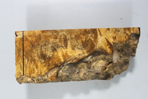 Empuñaduras para bolígrafo/pistola agujero de gusano ladrido dorado alcanfor madera burl girando en blanco - Imagen 5 de 7