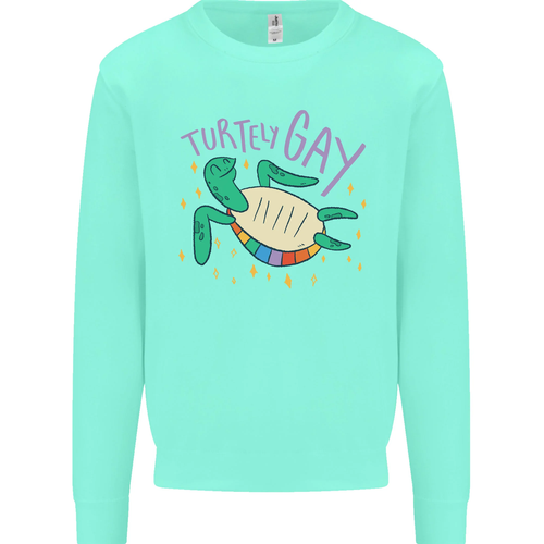 LGBT Turtle Gay Pride Day Awareness Kids Sweatshirt Jumper - Picture 84 of 97