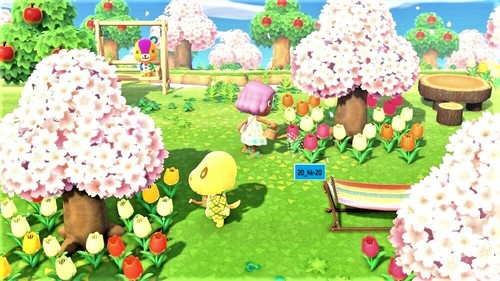 Japanese Nintendo Switch Animal Crossing New Horizons Game & Limited bag Mori JP - Picture 5 of 9