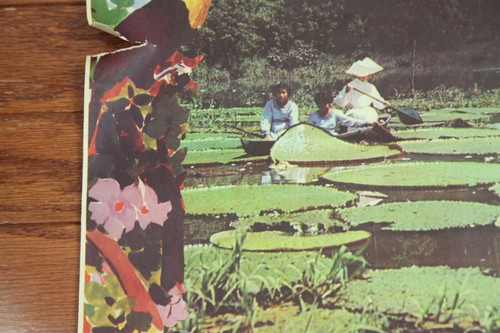 Vintage Mid Century Travel Poster Amazonas Colombia 19x27 Movifoto Rainforest - Picture 6 of 15