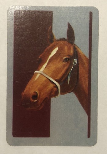 Newsagents Vintage Swap Card - UnNamed - Horse -in Coles Cat As #1657 Excellent - Picture 2 of 5